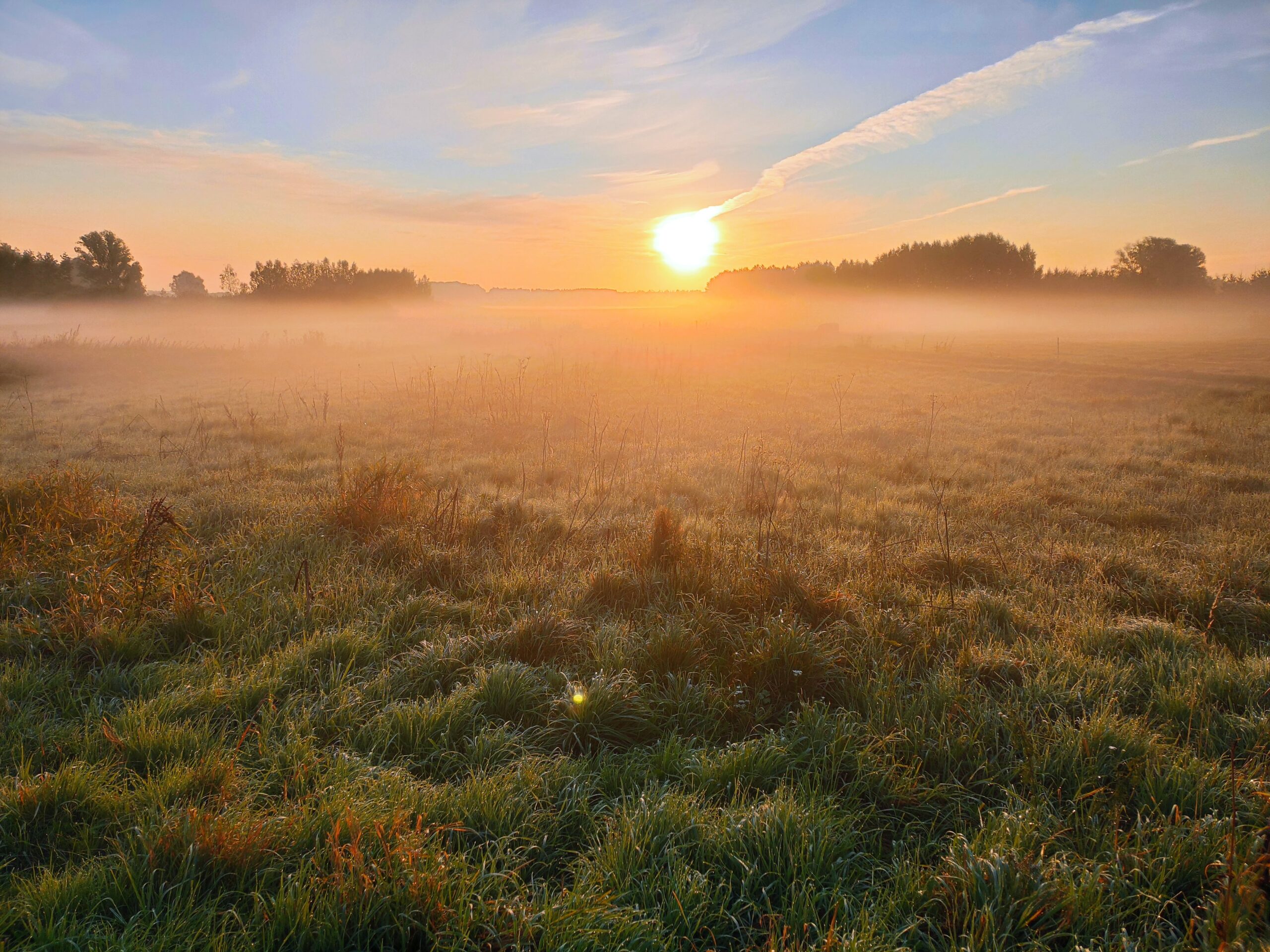 Klasyczna praktyka jogi w Rishikesh – Powitania Słońca jako rytuał poranka
